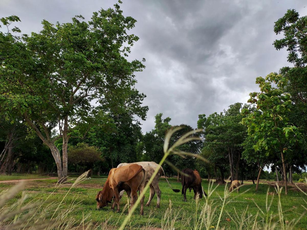 Naracha Resort Mueang Kao Buitenkant foto