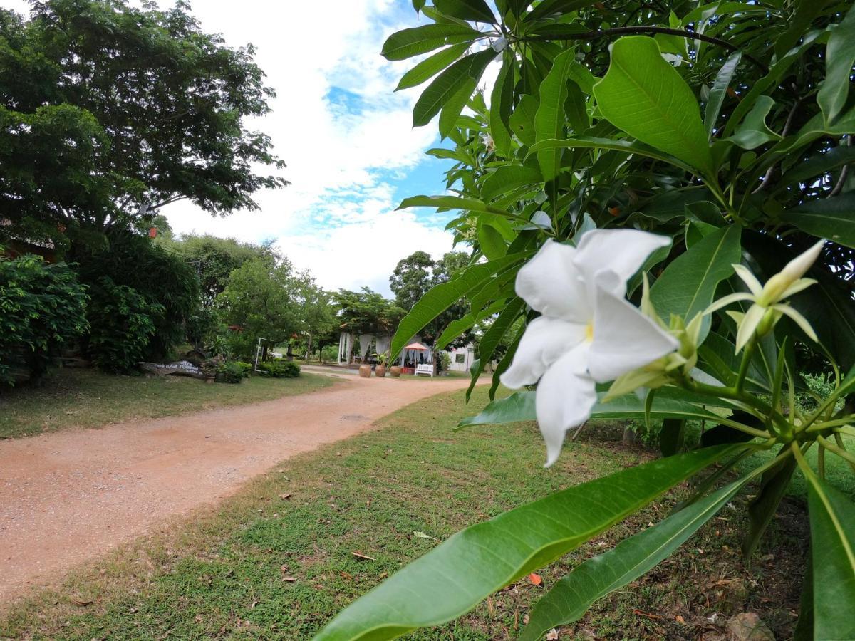 Naracha Resort Mueang Kao Buitenkant foto