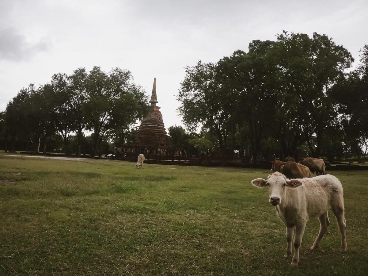 Naracha Resort Mueang Kao Buitenkant foto