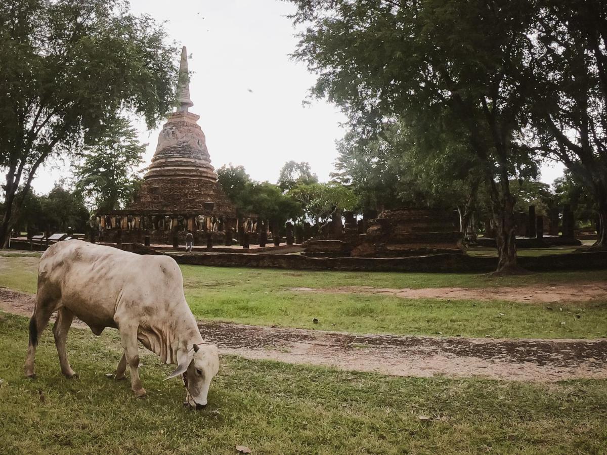 Naracha Resort Mueang Kao Buitenkant foto